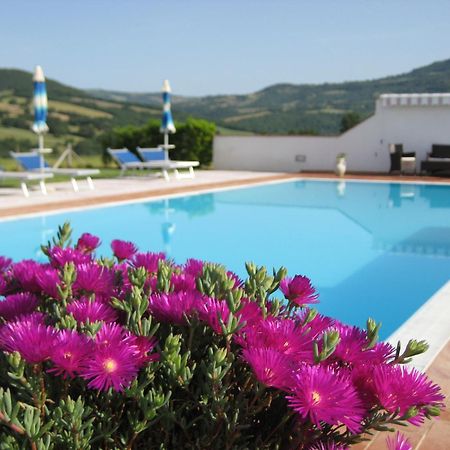 Agriturismo Il Cavallino Saturnia Semproniano Exterior foto