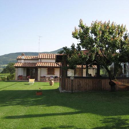 Agriturismo Il Cavallino Saturnia Semproniano Exterior foto
