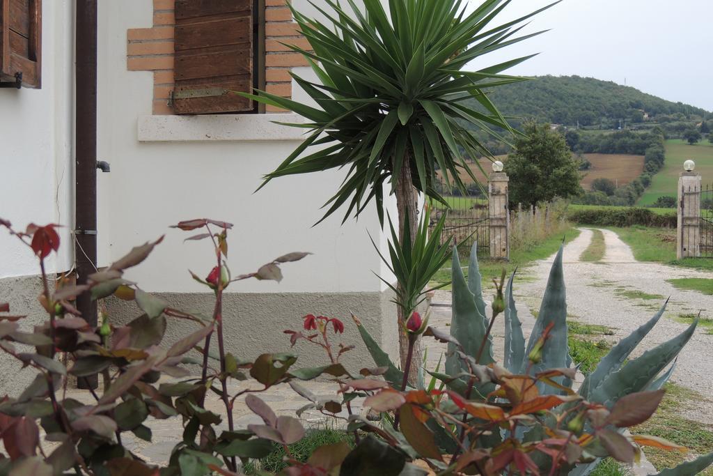 Agriturismo Il Cavallino Saturnia Semproniano Exterior foto